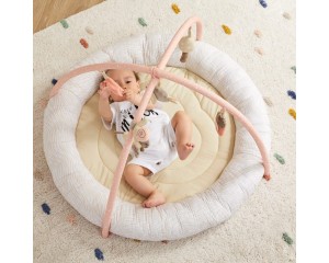 Wonder & Wise Baby's Nest Activity Gym